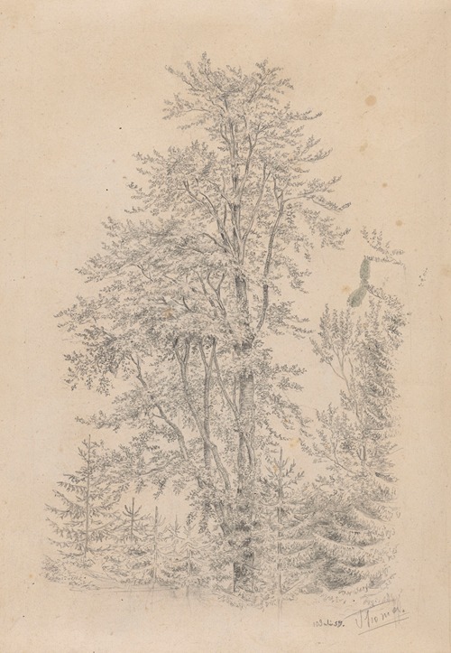 Forest Fragment with a Deciduous Tree in the Foreground
