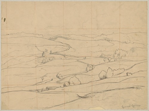 Hilly landscape with a road and trees