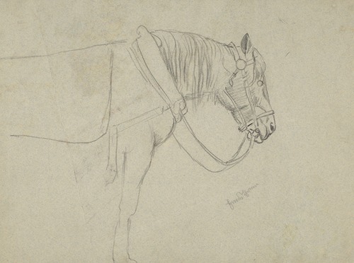 Horse in a Harness