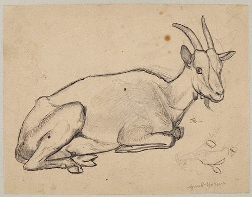 Lying Goat