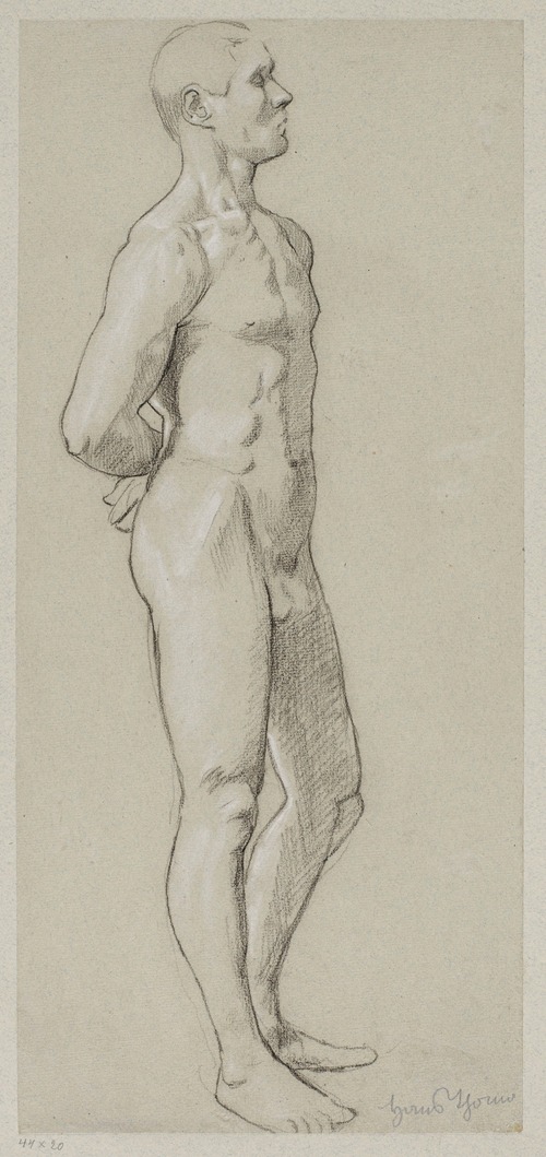 Male nude