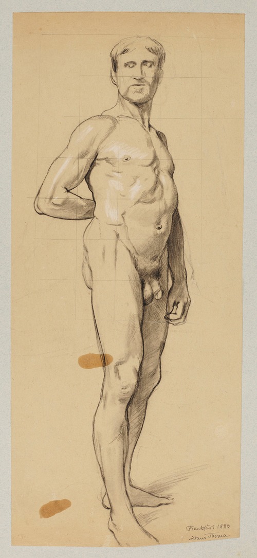 Male nude