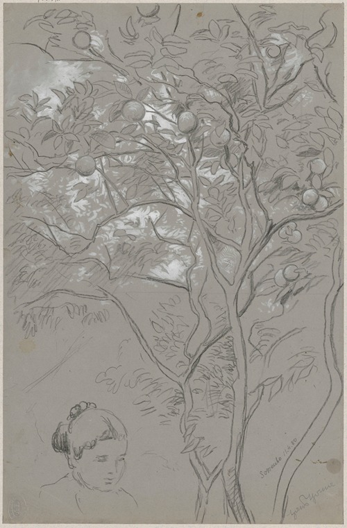 Orange tree in Sorrento and study of a female head