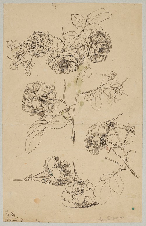 Rosebuds