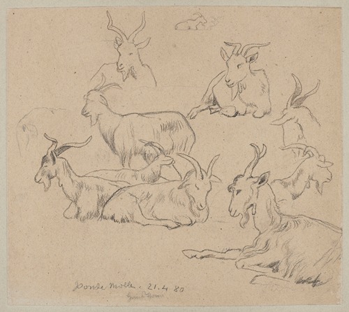 Studies of Goats