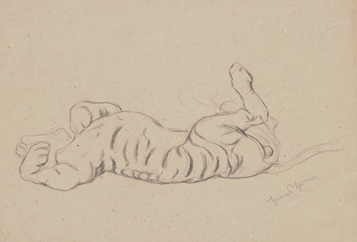 Study of a stretching tiger