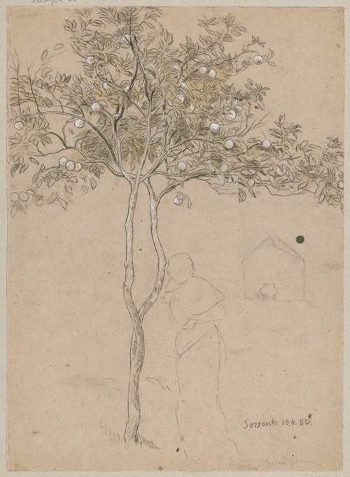 Study of an orange tree from the vicinity of Sorrento. Contour of a female