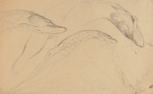 Study of Fish (Pikes)