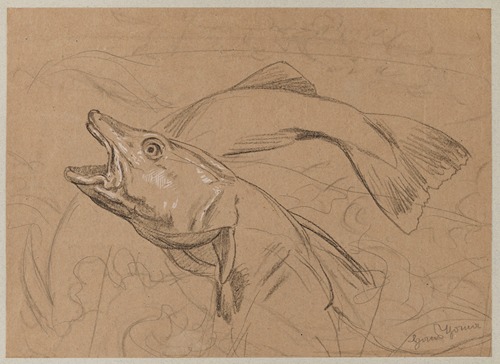 Study of Fish