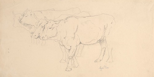 Study of Four Cows Walking
