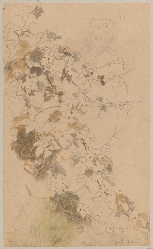 Study of ivy; contour of satyr’s head