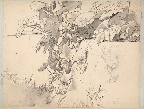 Study of Ivy