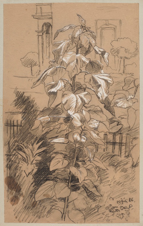 Study of Plants