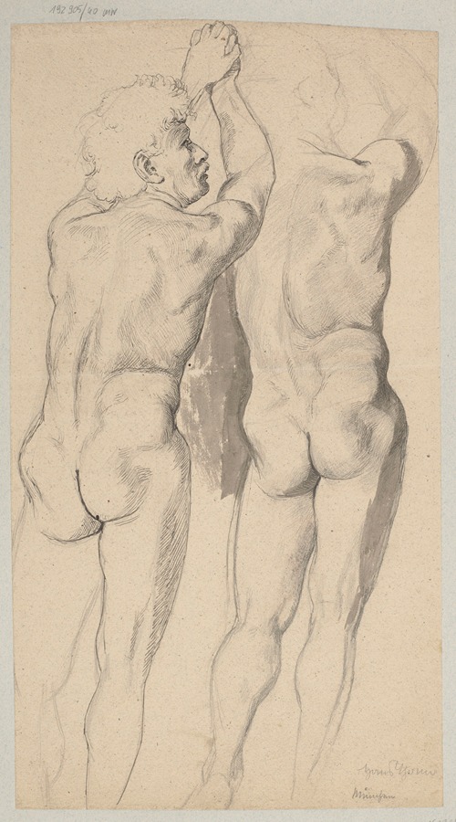 Two Studies of a Male Nude