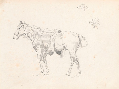 Horse covered with saddlecloth, from the side and sketches of dog’s head