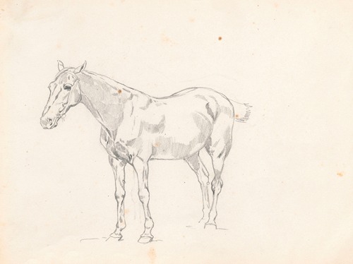 Horse, study for the painting “Return from the horse fair” 3