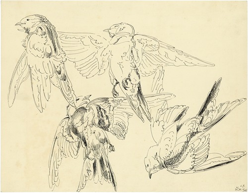 Mussen
