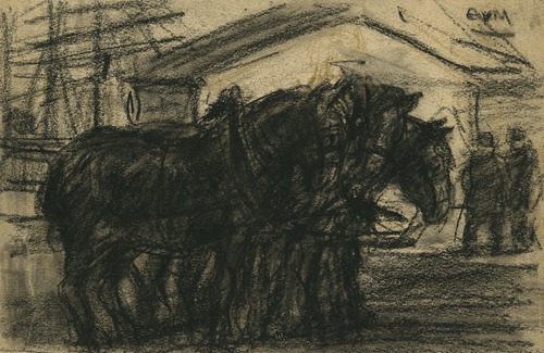 Natiepaarden