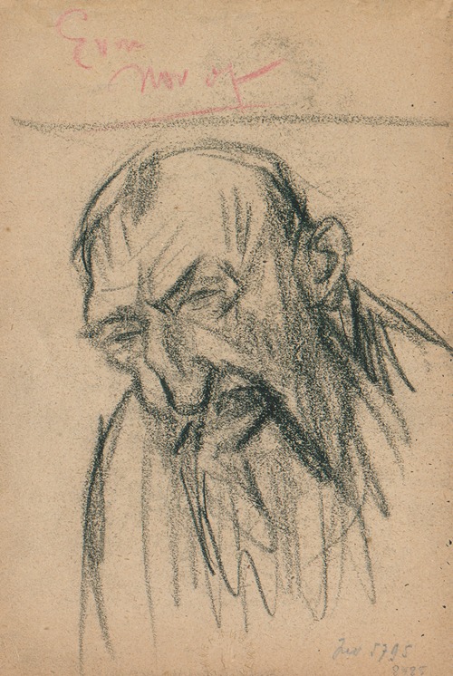 Portret van een man met baard en kromme neus in vooraanzicht.