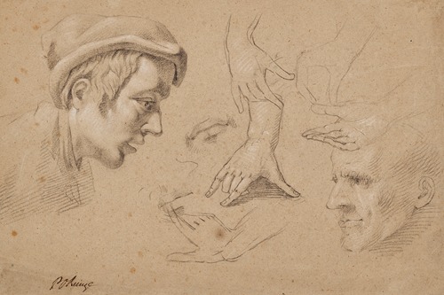 Study of heads and hands
