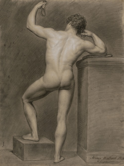 Standing male nude, seen from behind