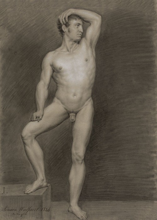 Standing male nude