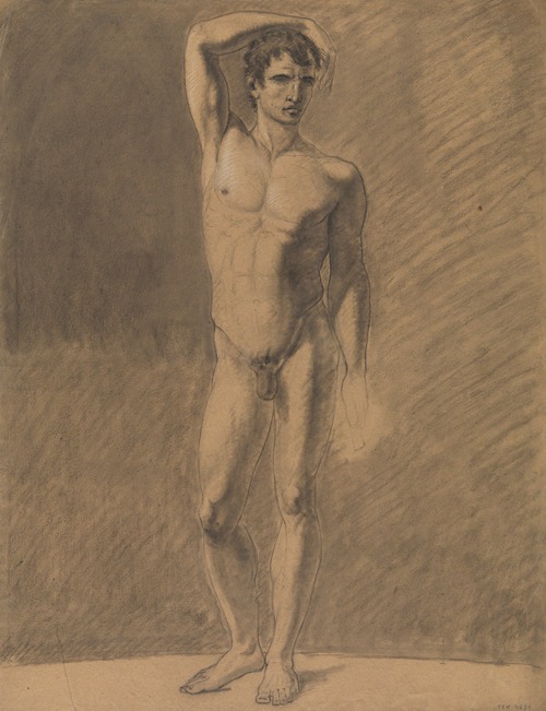 Standing male nude