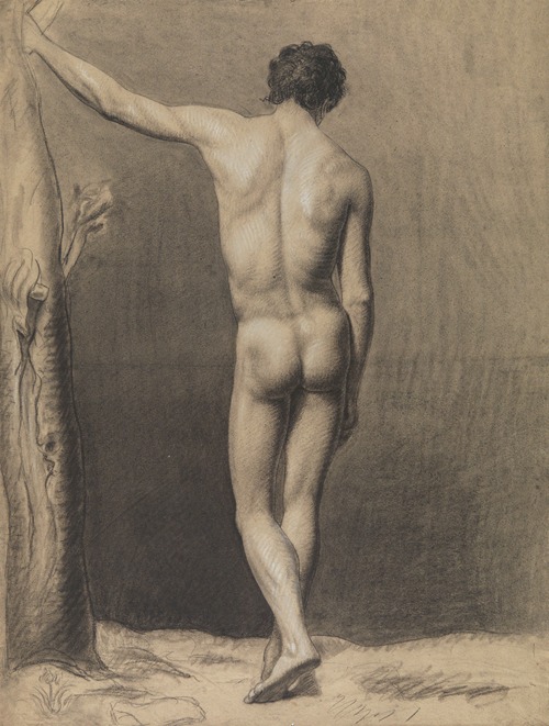 Standing male nude