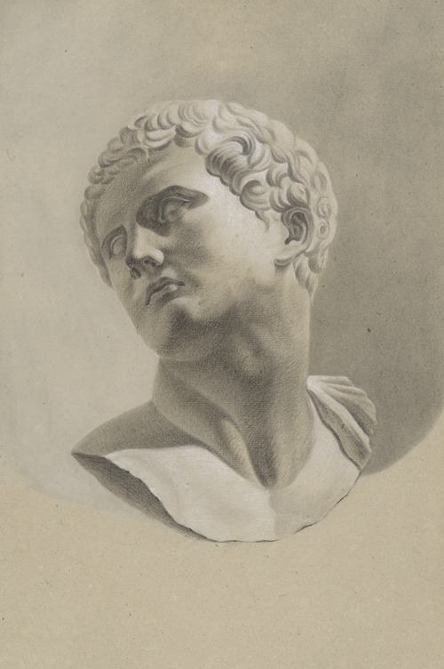 Bust of a young man
