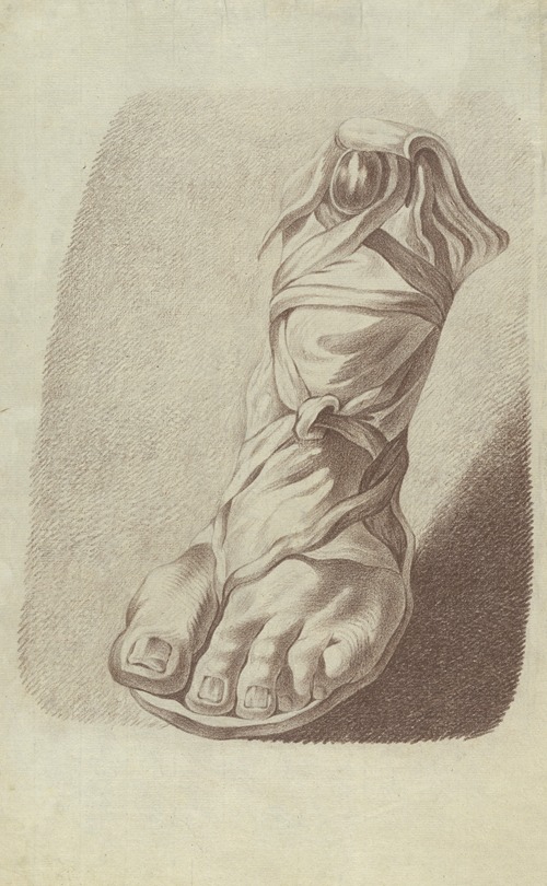 Left foot wearing a sandal