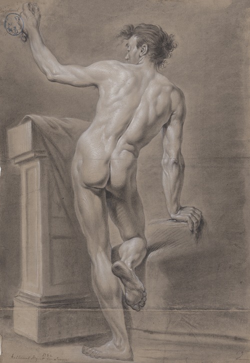 Standing male nude, seen from behind
