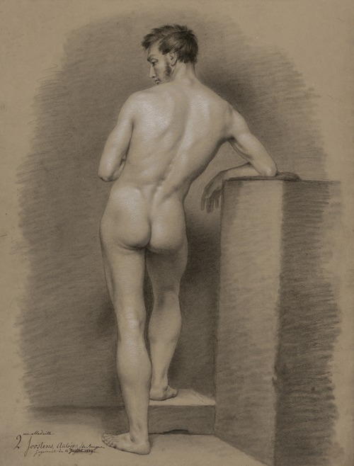 Standing male nude, seen from behind