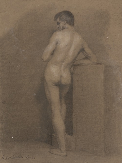 Standing male nude, seen from behind