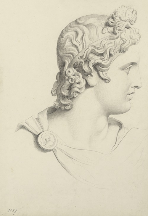 Head of Apollo Belvedere