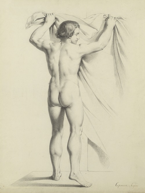 Standing male nude, seen from behind