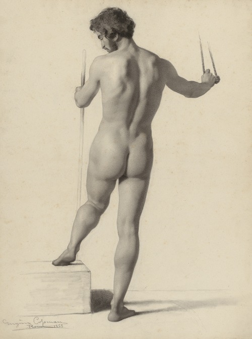 Standing male nude, seen from behind