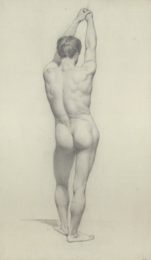 Male nude seen from the back