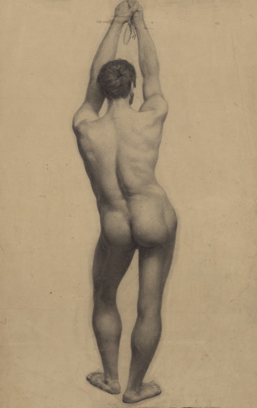 Male nude seen from the back