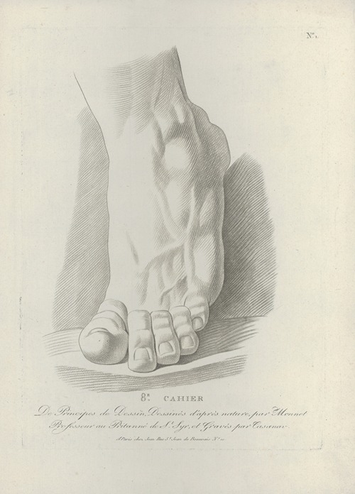 Study of a foot