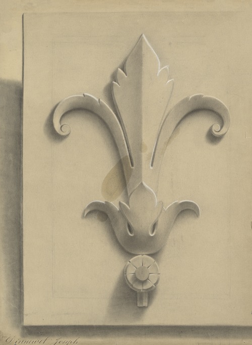 Academic ornament study: Fleur-de-lis