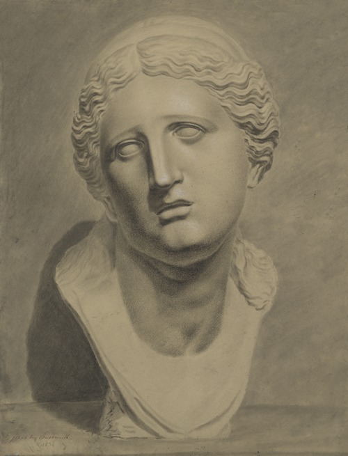 Bust of Niobe