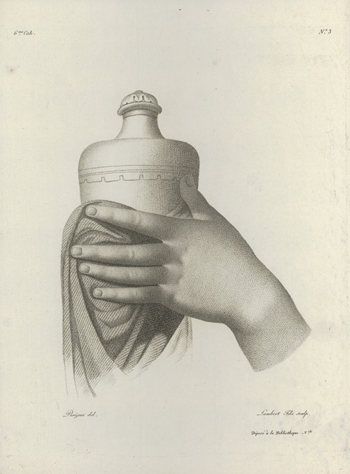 Study of a hand