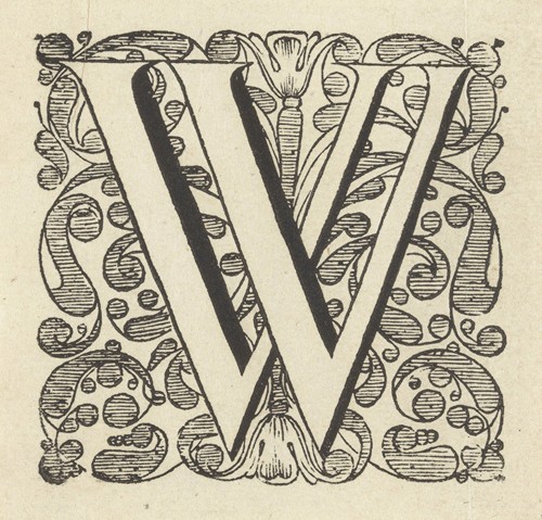 Letter W in een omlijsting met bloemen