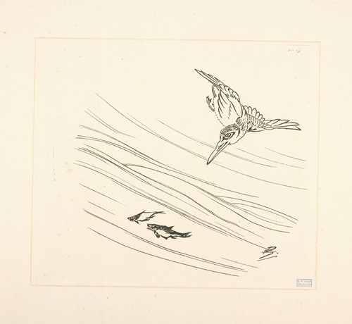 Martin-pêcheur, deux petits poissons.