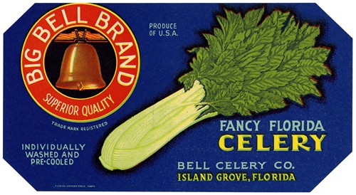 Big Bell Brand Fancy Florida Celery Label