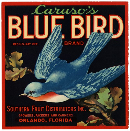 Caruso’s Blue Bird Brand Fruit Label (1930-1950)