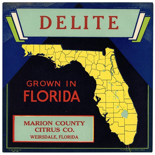 Citrus Label for Delite - Black and Blue (1930-1950)