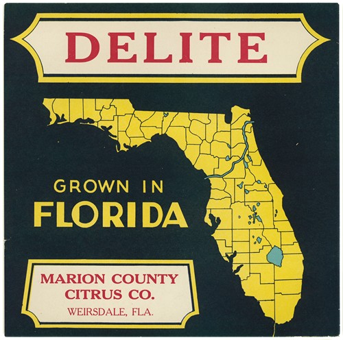 Citrus Label for Delite – Black and Yellow