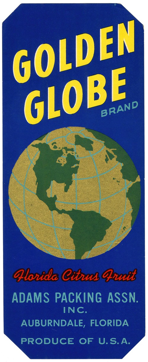 Golden Globe Brand Florida Citrus Fruit Label