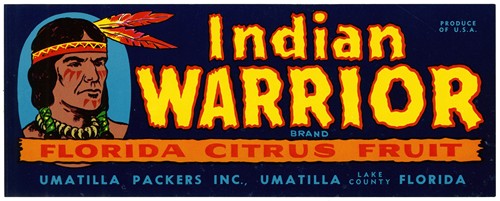 Indian Warrior Brand Florida Citrus Fruit Label